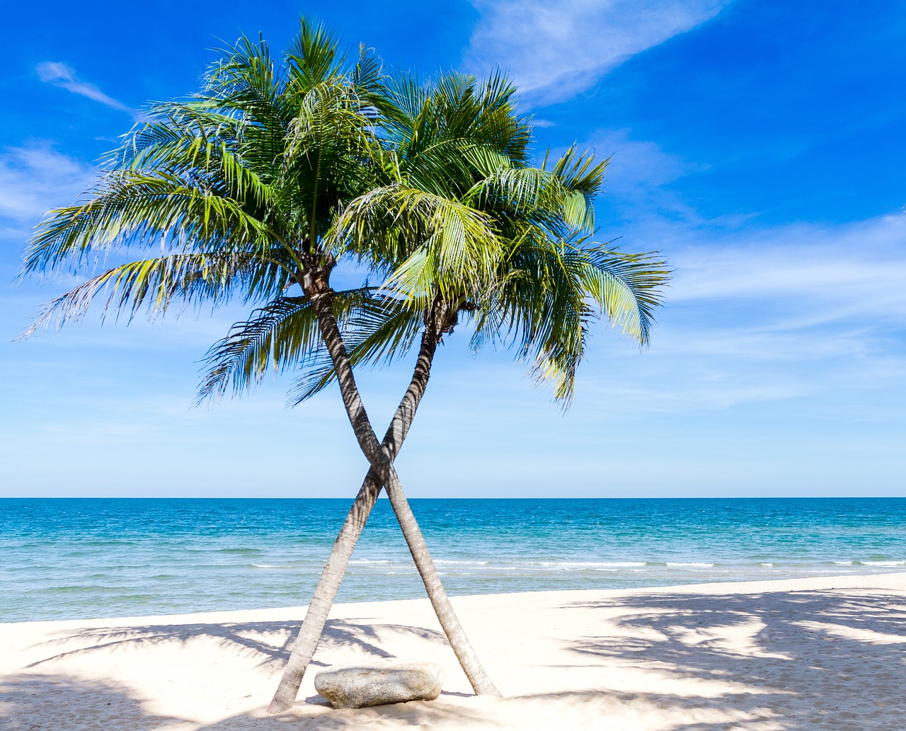 beach, palm trees, sea, seascape, horizon, tropical island, paradise, shore, seashore, caribbean, ocean, nature, outdoors, coastline, water, beach, beach, beach, beach, beach, palm trees